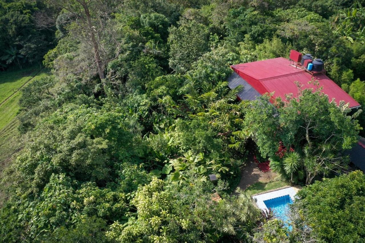 Bed and Breakfast La Boruca à San Isidro  Extérieur photo
