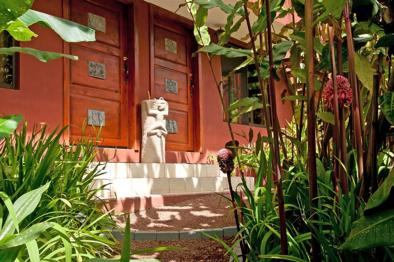 Bed and Breakfast La Boruca à San Isidro  Extérieur photo