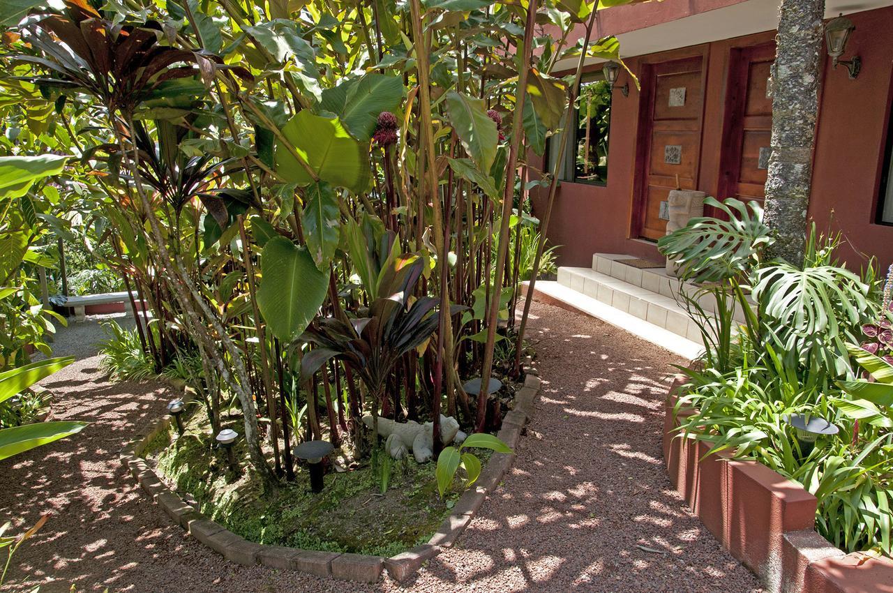 Bed and Breakfast La Boruca à San Isidro  Extérieur photo